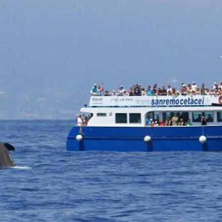 Comodo Con Giardino E Patio Апартаменты