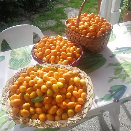 Апартаменты Comodo Con Giardino E Patio *