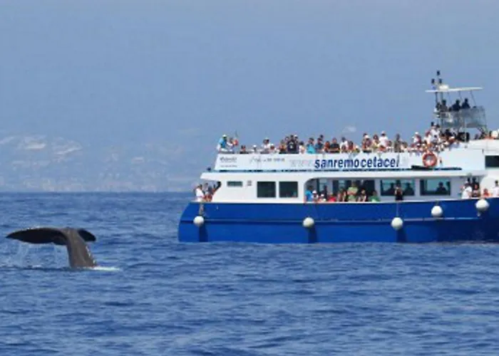 Comodo Con Giardino E Patio Appartamento