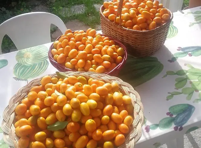 Appartamento Comodo Con Giardino E Patio *