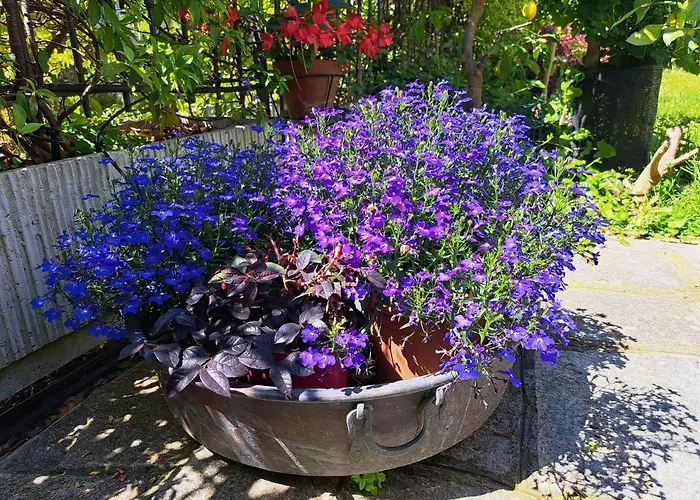 Apartamento Comodo Con Giardino E Patio