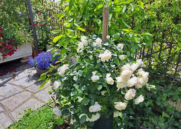 Appartamento Comodo Con Giardino E Patio Sanremo